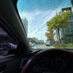 개별 맞춤 코스