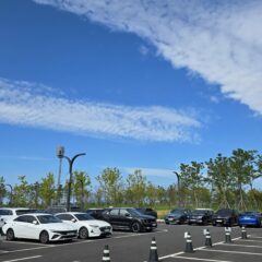 도로 여행은 남편이 아니면 안 돼요