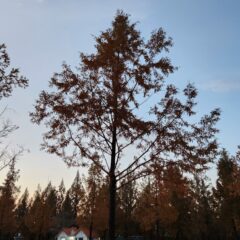 장거리 주행 도전