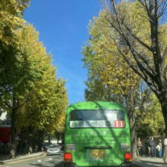 대구운전연수 완주 성공!