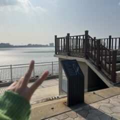 약국 가기 위한 운전 연수