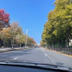 오후에 주차는 진짜 무섭더라구요