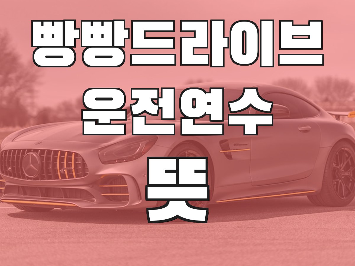 빵빵드라이브 운전연수 뜻 - 운전연수의 의미와 필요성